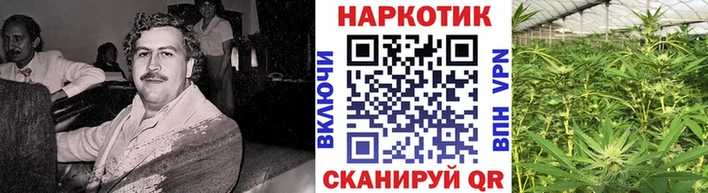 Наркотические вещества Мостовской А ПВП Конопля АМФ ГАШИШ Мефедрон