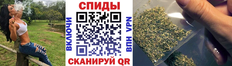 kraken зеркало  Мостовской  Бутират BDO 