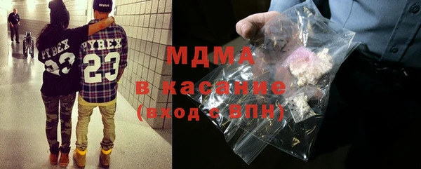 прущие грибы Верея