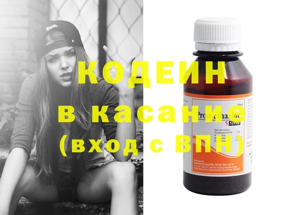 прущие грибы Верея