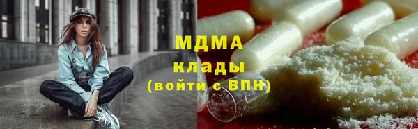 прущие грибы Верея
