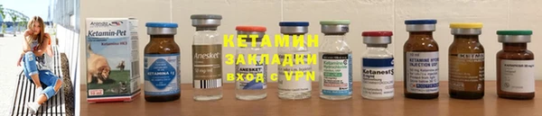 прущие грибы Верея