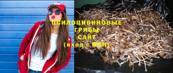 прущие грибы Верея