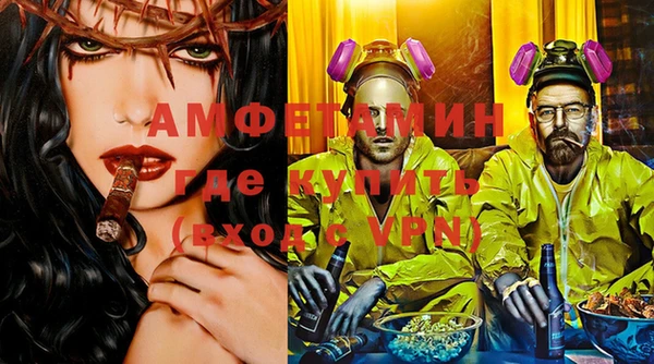 прущие грибы Верея