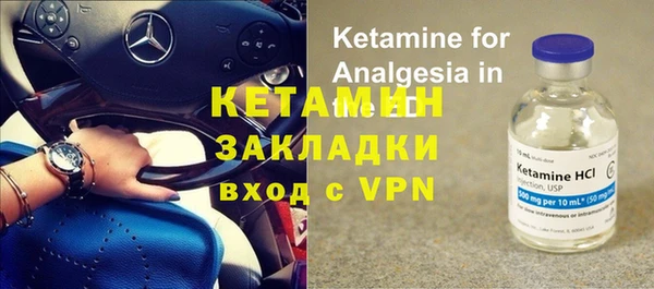 прущие грибы Верея