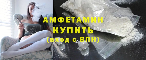 прущие грибы Верея