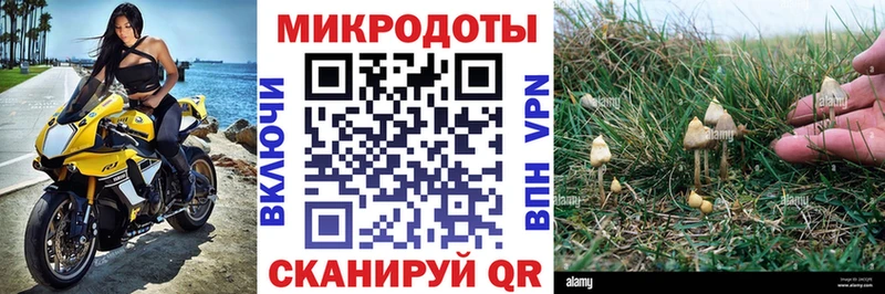 площадка как зайти Мостовской Галлюциногенные грибы GOLDEN TEACHER наркота omg ONION